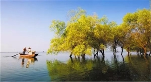 春暖花開(kāi)南洞庭踏青、云夢(mèng)七色花洲一日游  