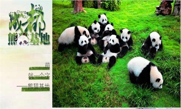 長(zhǎng)沙、成都雙飛6天
