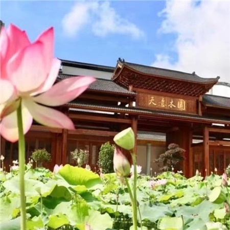 益陽(yáng)天意木國(guó)木文化博物館、金家堤、一碑五館一日游