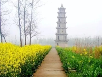 春暖花開南洞庭踏青、云夢七色花洲一日游  