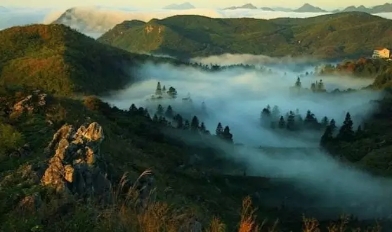 益陽(yáng)安化?天下茶道、云臺(tái)山、茶香花海2日游