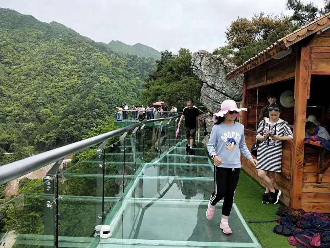 益陽(yáng)安化?天下茶道、云臺(tái)山、茶香花海2日游