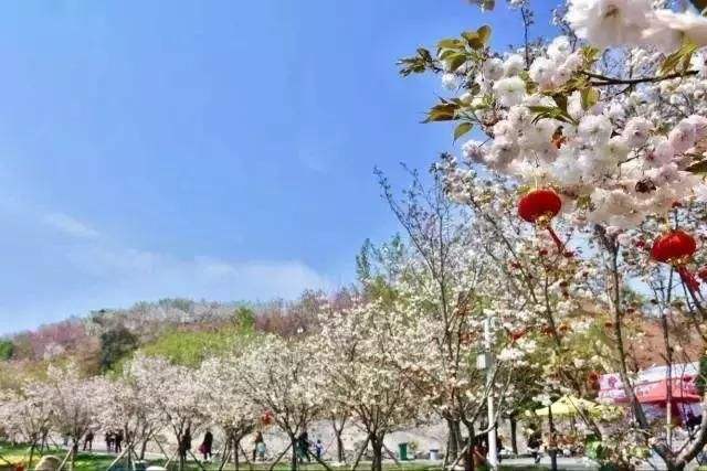 長沙潯龍河櫻花谷、田漢文化園一日游