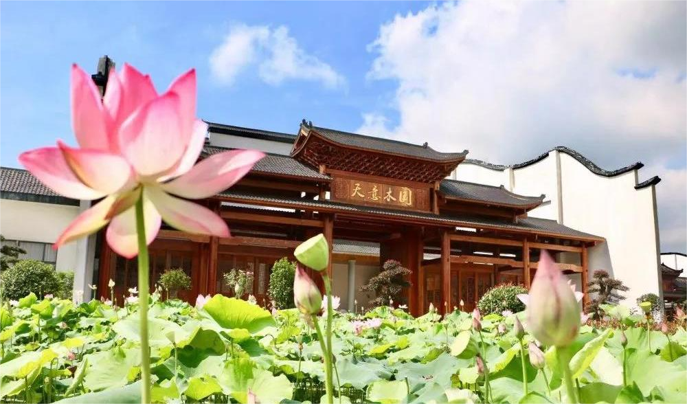 清溪村、天意木國景區(qū)、明清古巷、市博物館、胡林翼故居二日游